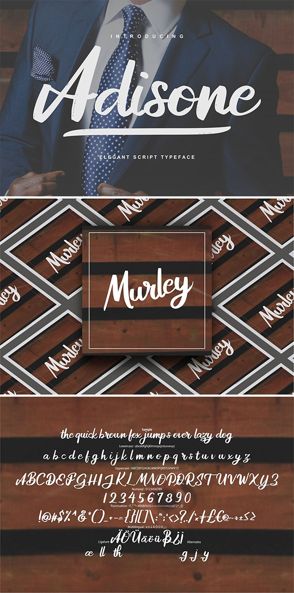 Adisone | Elegant Script Typeface Adisone | Elegant Script Typeface