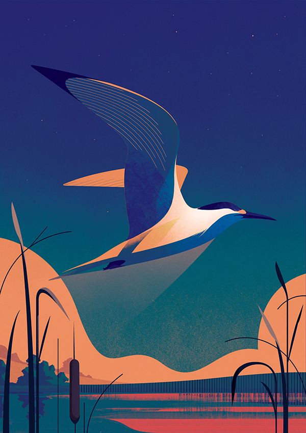 Illustration Art for Inspiration by Charlie Davis - 5 Amazing Illustration Art for Inspiration by Charlie Davis - 5