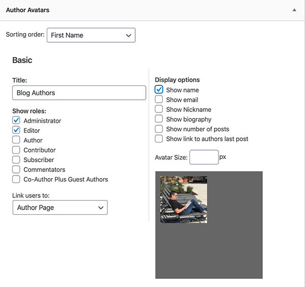 Setting up the author's avatar as a widget.