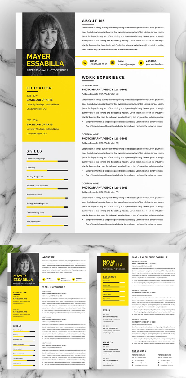 Professional Three Page Resume Template