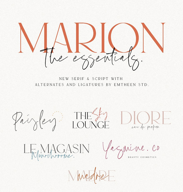 The Essentials - Logo Font