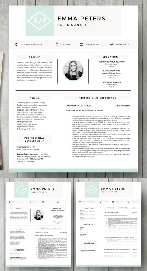 Perfect Resume / CV Template Perfect Resume / CV Template