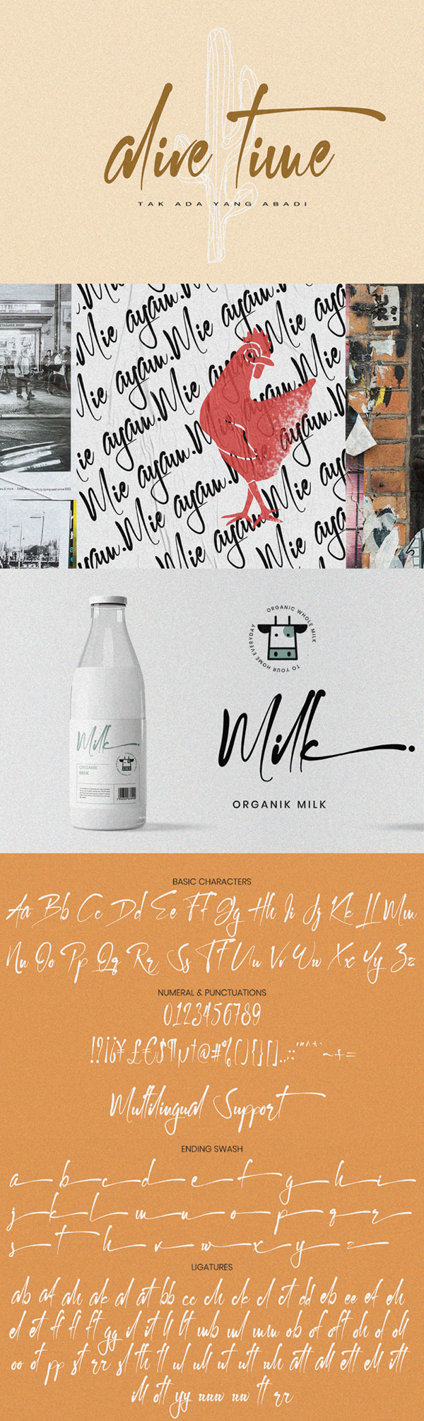 Kallem Script Font Letters Kallem Script Font Letters