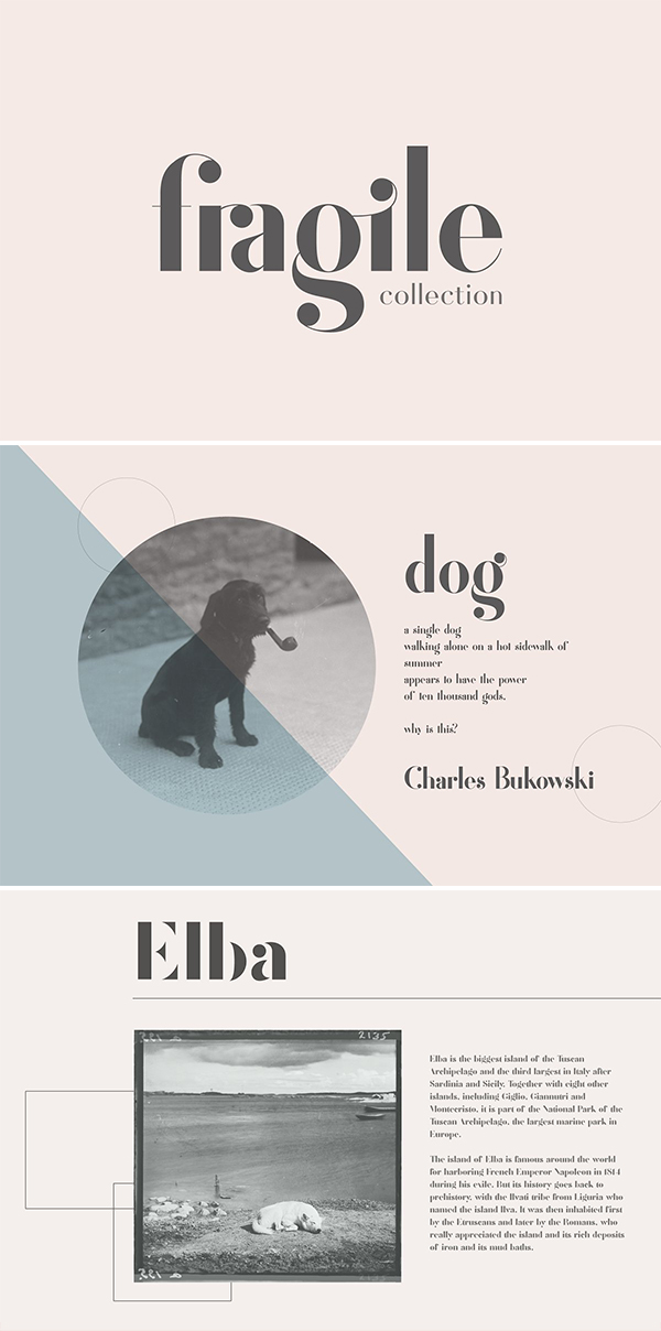 Fragile Collection (Font Bundle) Fragile Collection (Font Bundle)