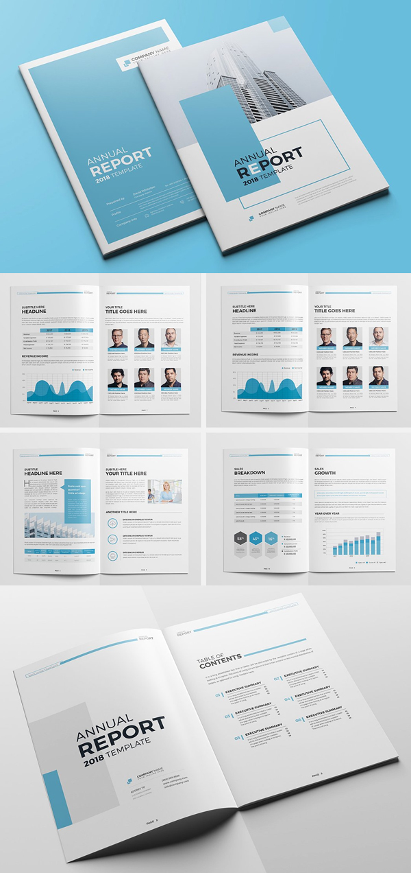 The Blue Annual Report The Blue Annual Report