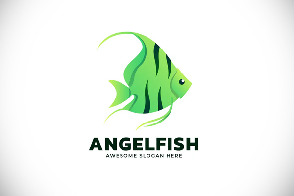 Engelfish Gradient Colorful Logo