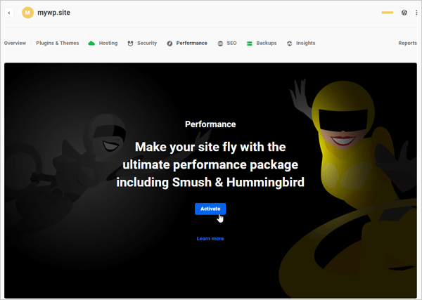 Hub - Performance tab - Activate Hummingbird.