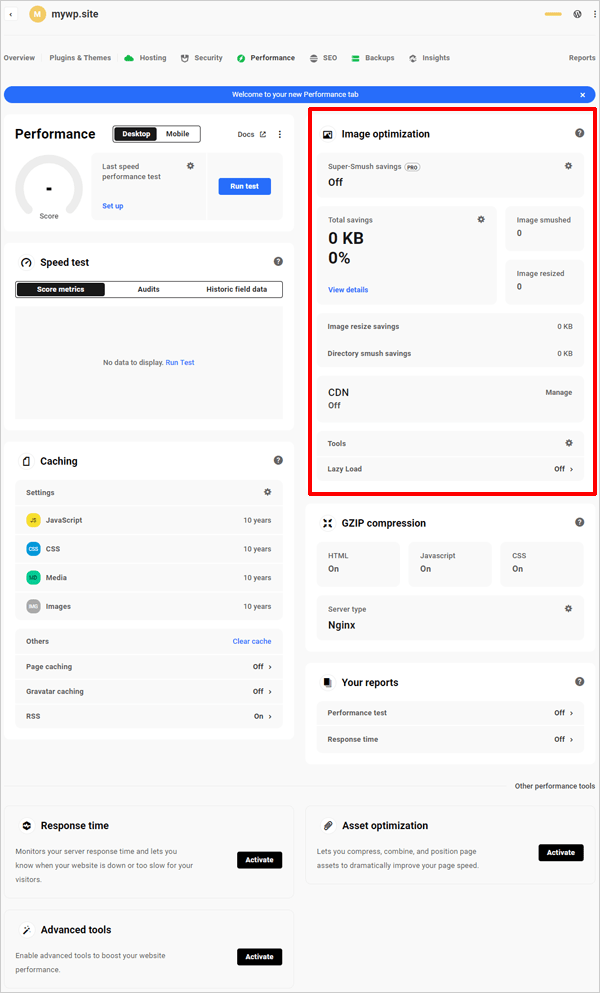 The Hub - Performance dashboard with Hummingbird and Smush activated.