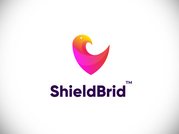 ShieldBrid branding concept ShieldBrid branding concept